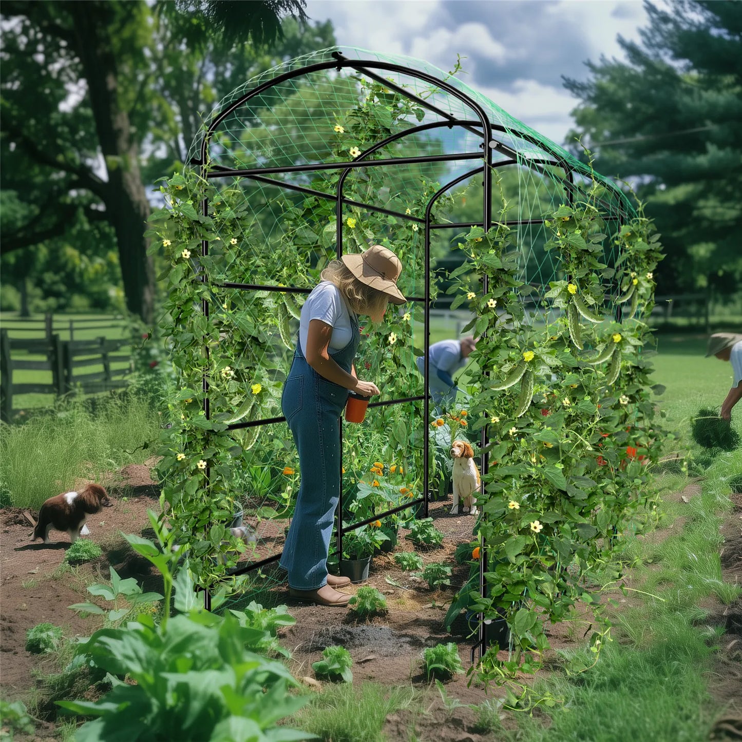 BINGOPAW Cucumber Trellis Metal Garden Arch For Climbing Plants
