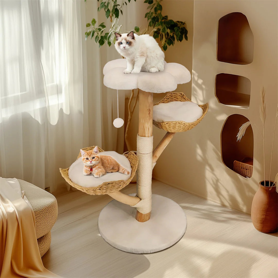 Bingopaw Solid Wood Cat Activity Center Claw Scratching Post Tree