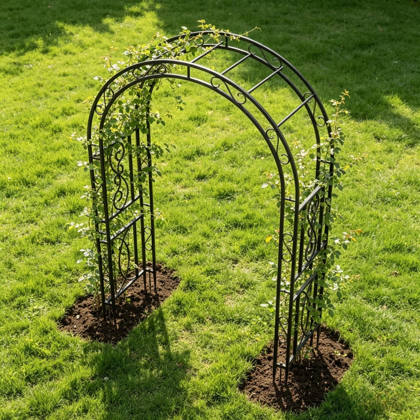 Heavy Duty Metal Garden Arch For Climbing Plants And Wedding Decor