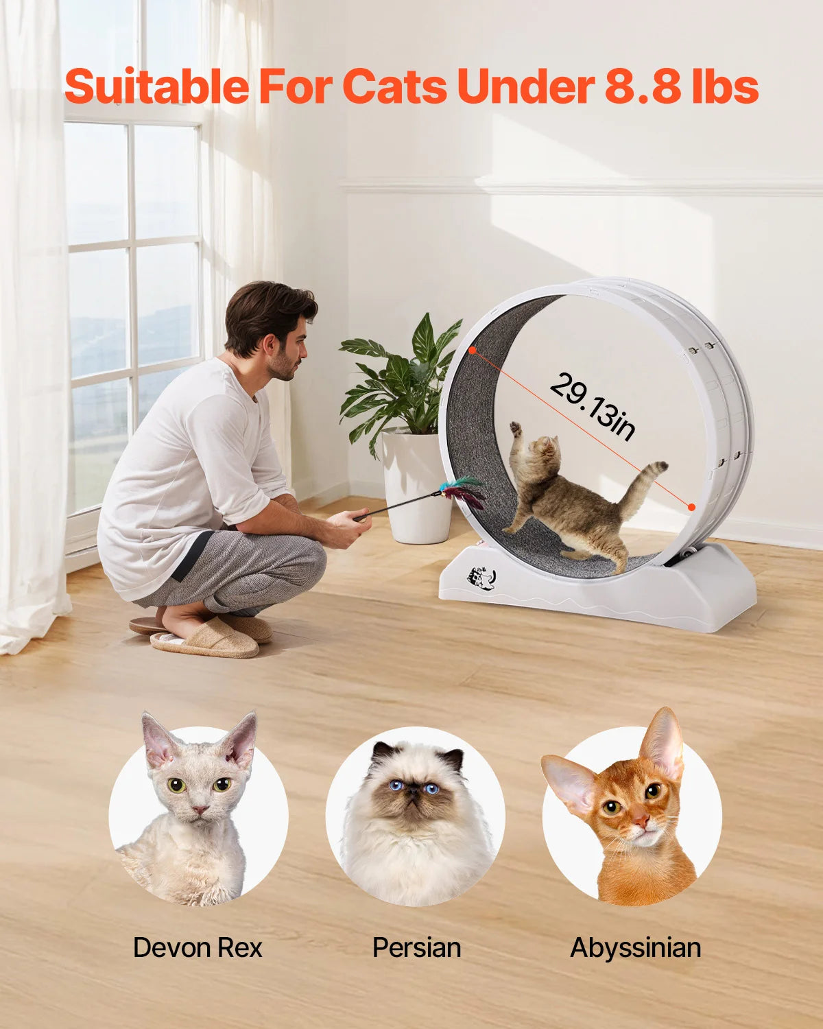 SucceBuy Cat Exercise Wheel With Secure Brake And Quiet Runway