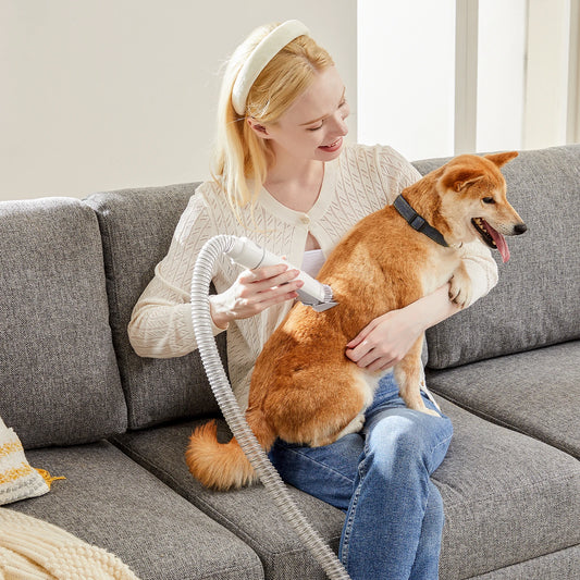 Professional Pet Grooming Vacuum Kit With Cordless Clippers For Pets