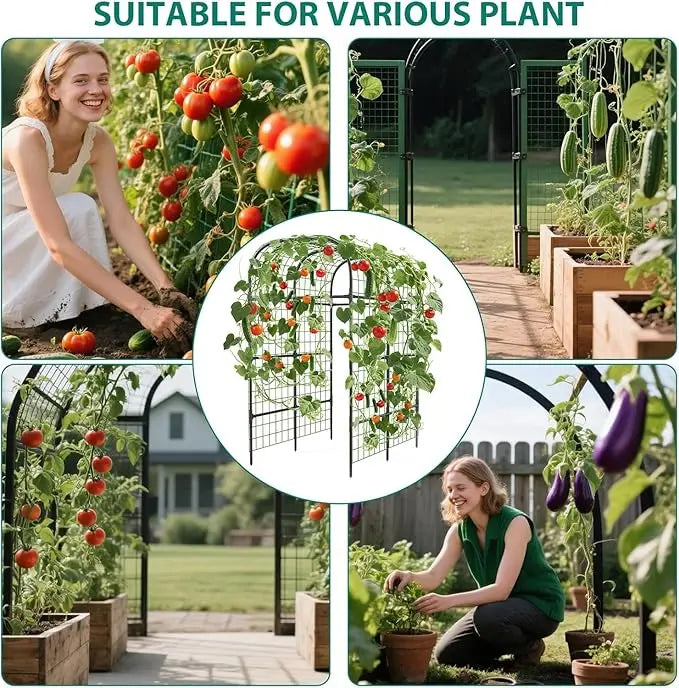 Metal Garden Arch Trellis For Raised Beds Heavy-Duty U-Shape