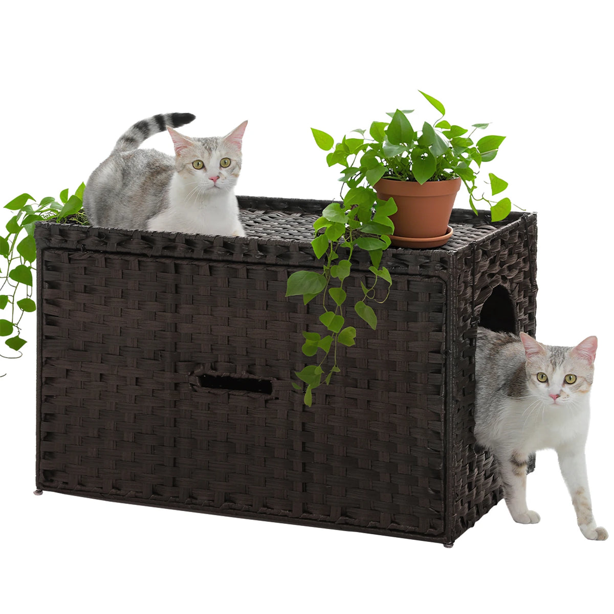 PEQULTI Rattan Cat Litter Box Enclosure With Flip Up Design