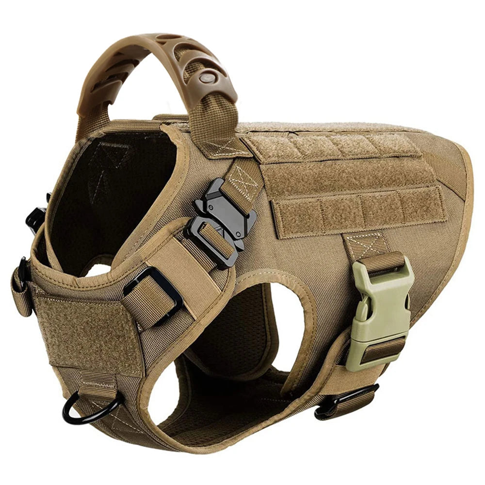 Padded Nylon Dog Harness And Leash Set For Training And Walking