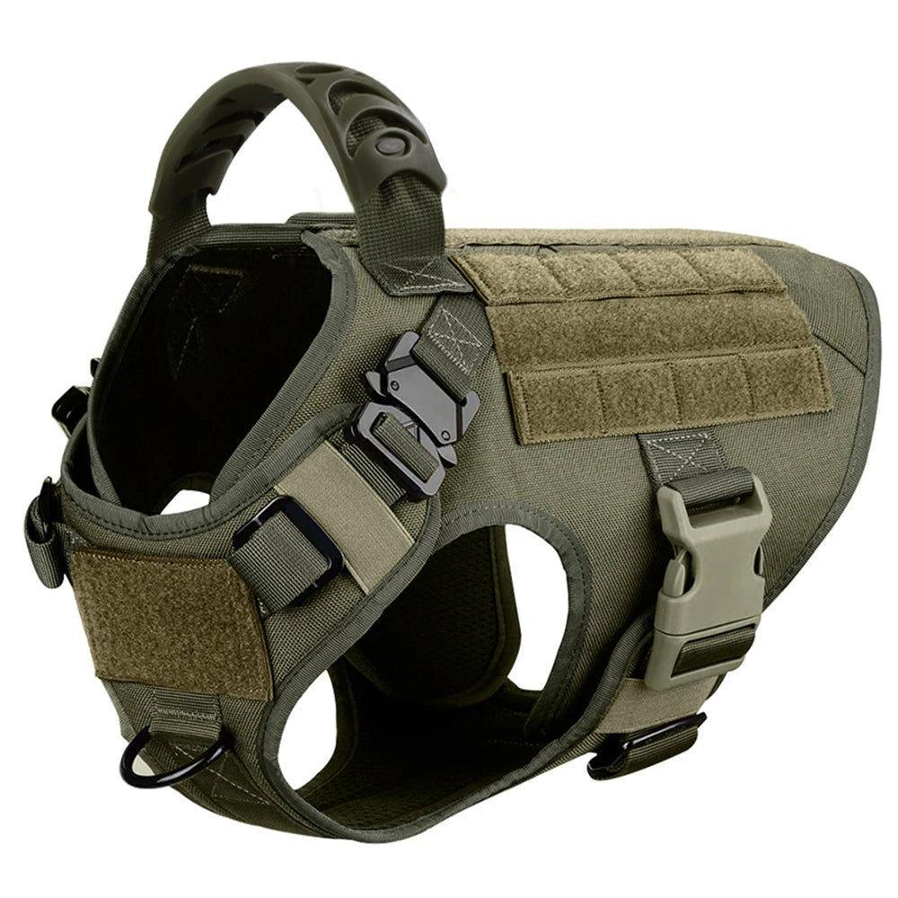 Padded Nylon Dog Harness And Leash Set For Training And Walking