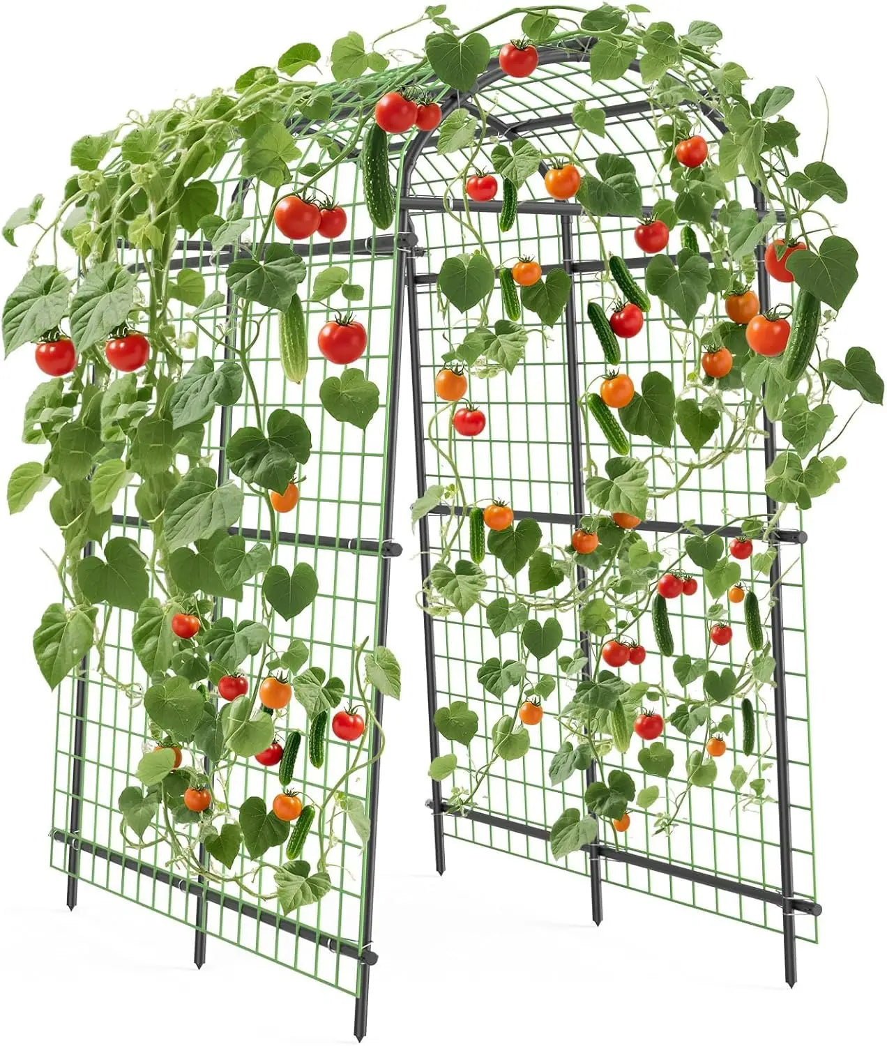 HiMISS Garden Arch Trellis For Climbing Vines And Vegetables