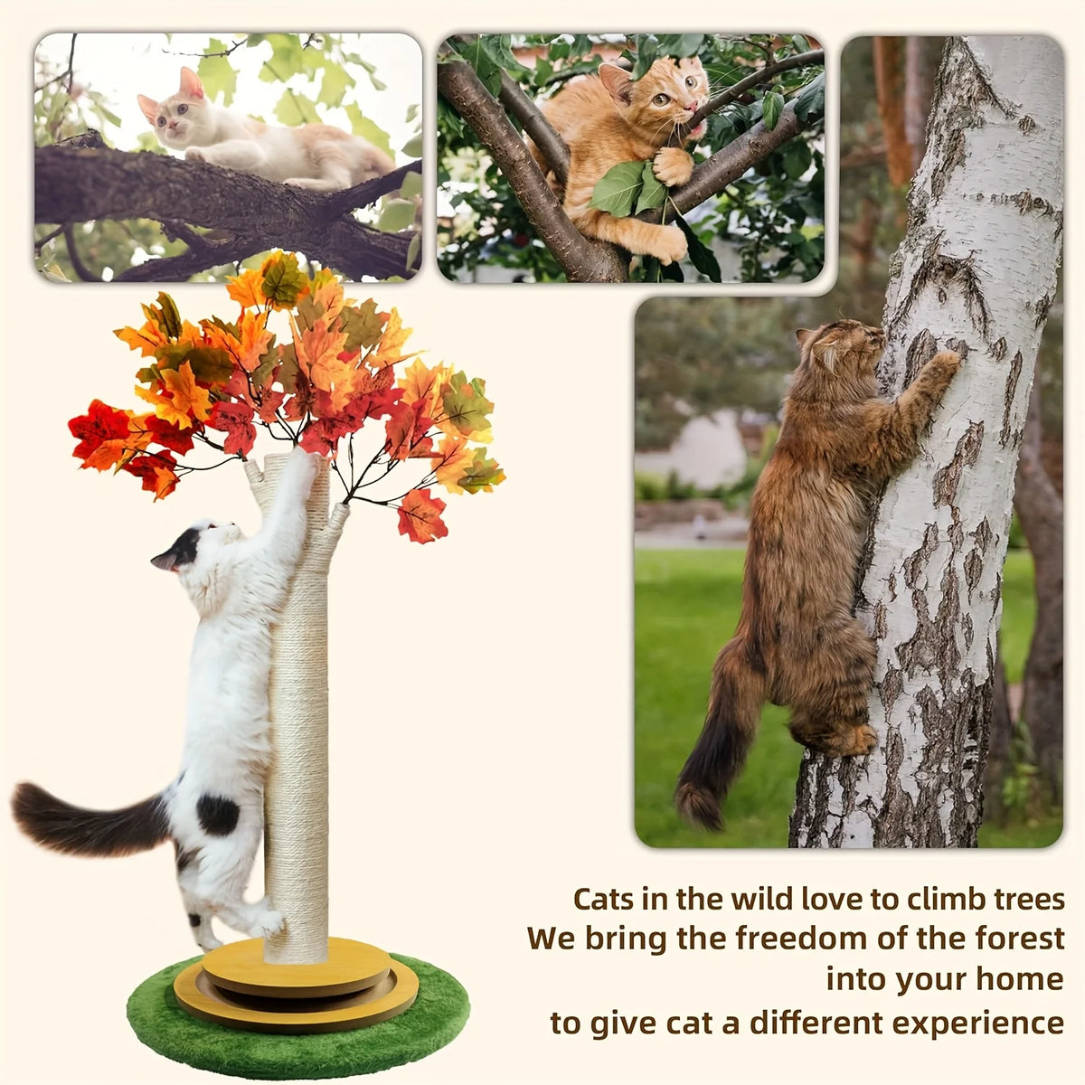 Cat Scratching Post, Maple Leaf Cat Scratching Board, Suitable for Indoor Adult Cats and Kittens, with a Stable Base, Sisal Rope, Interactive Toys, and Cat Gifts, Cat Scratching Board