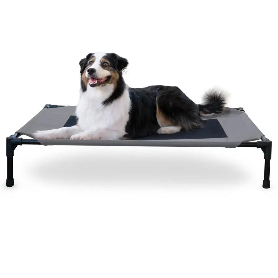 Outdoor Elevated Dog Cot With Breathable Mesh For Large Dogs