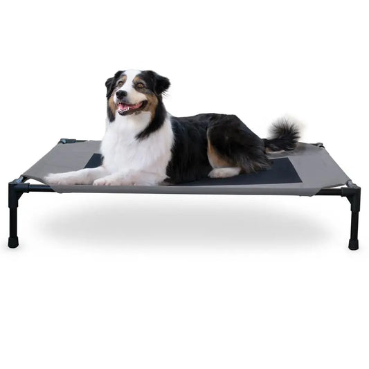 Outdoor Elevated Dog Cot With Breathable Mesh For Large Dogs