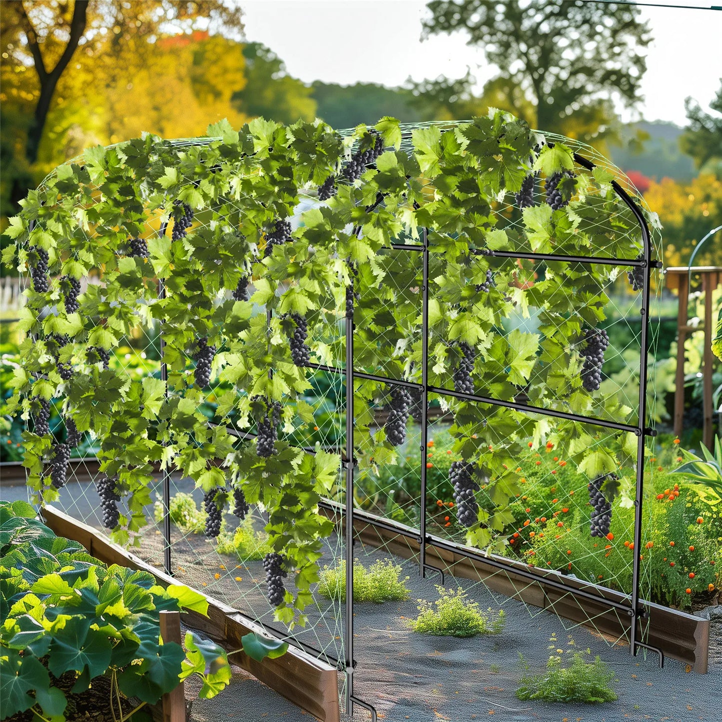 BINGOPAW Cucumber Trellis Metal Garden Arch For Climbing Plants