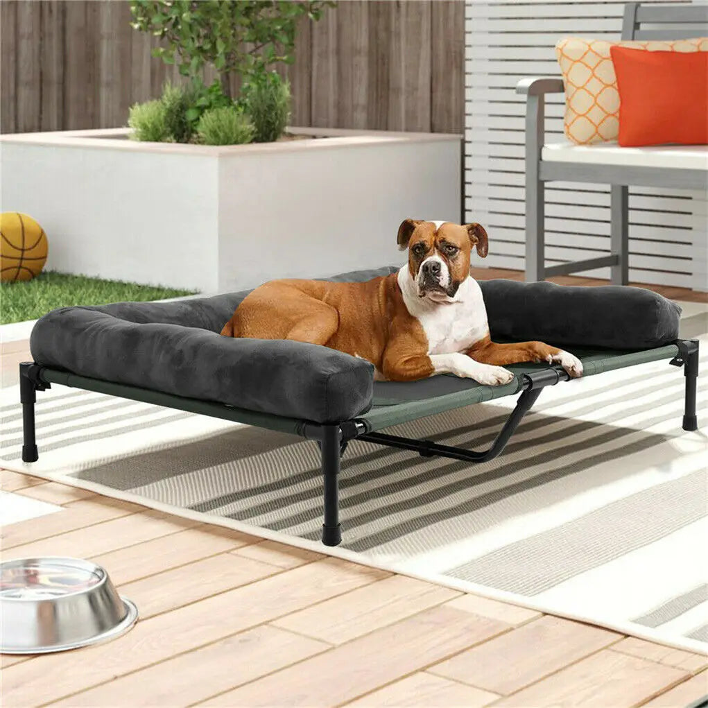 BINGOPAW Elevated Dog Bed Lounger With Detachable Plush Bolster