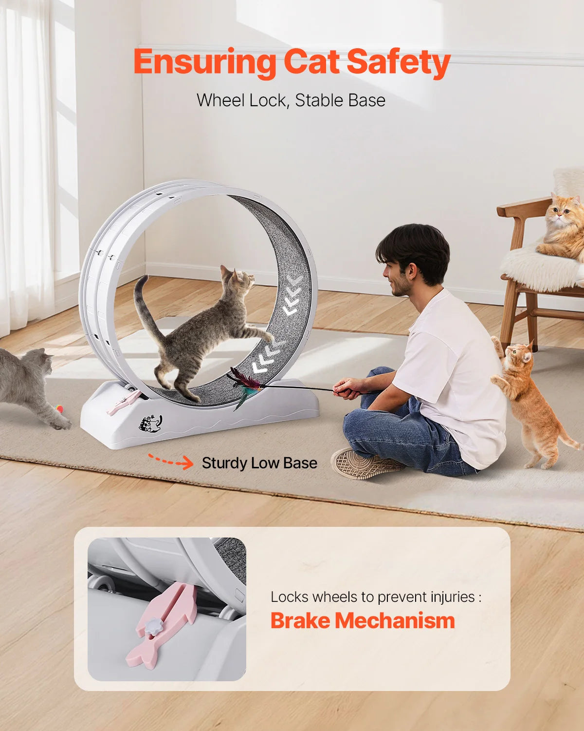 SucceBuy Cat Exercise Wheel With Secure Brake And Quiet Runway