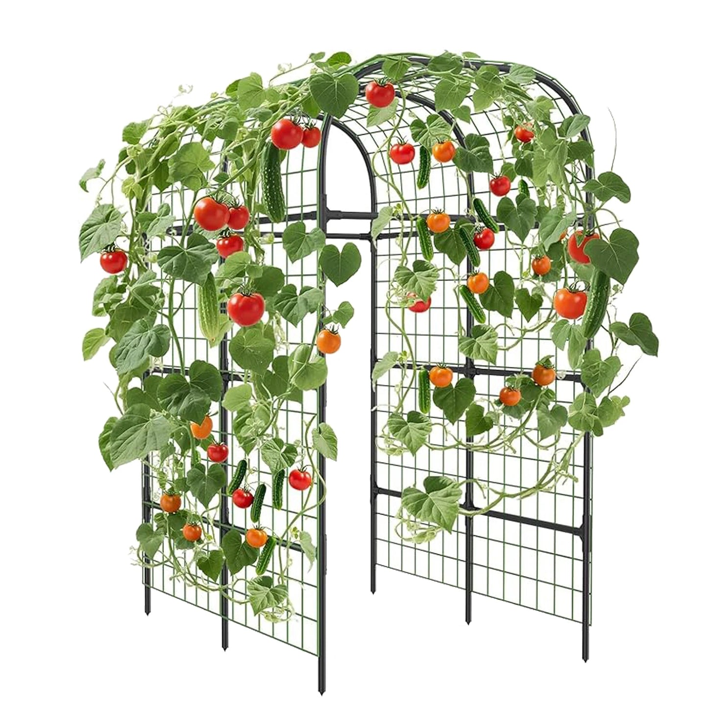 Metal Garden Arch Trellis For Raised Beds Heavy-Duty U-Shape