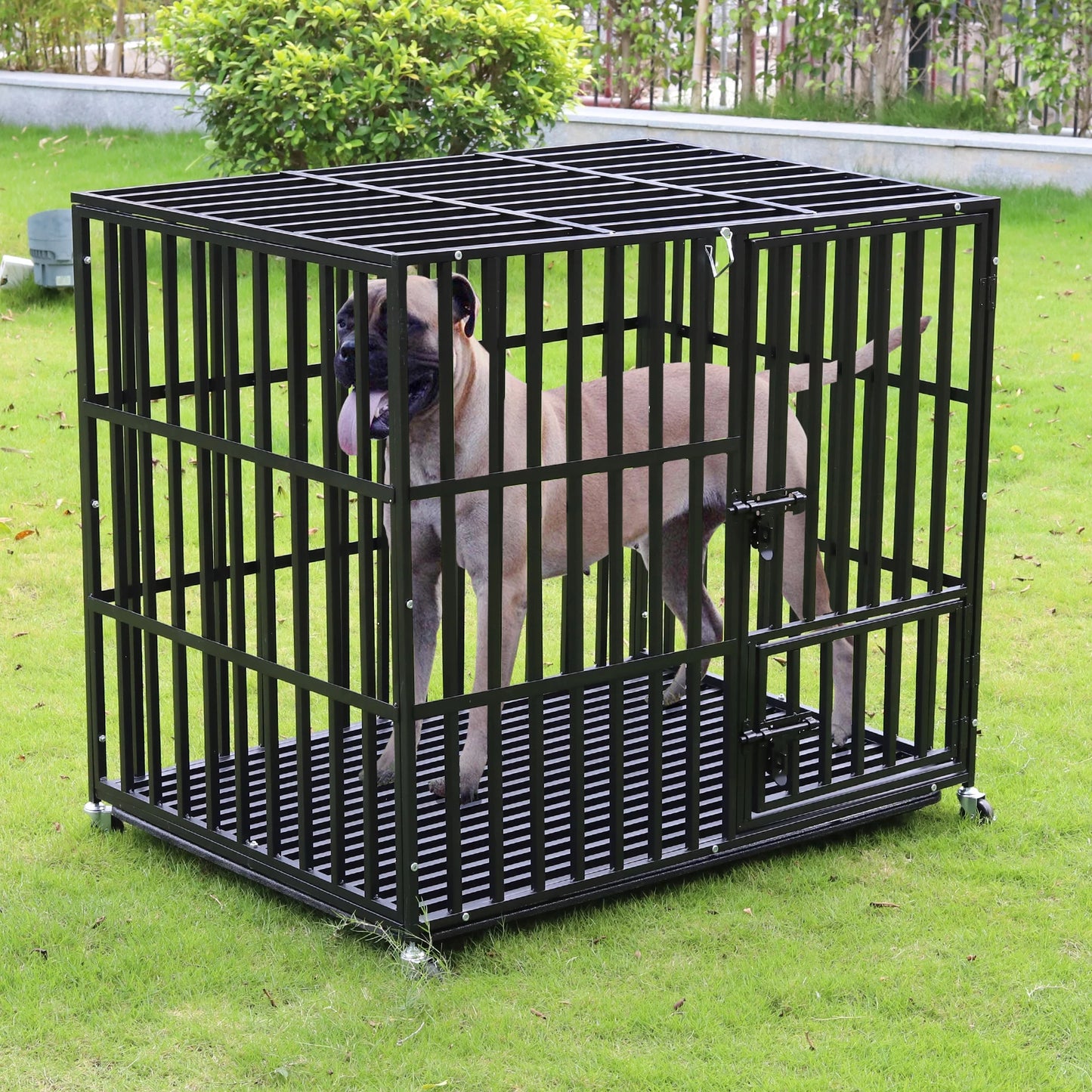 BINGOPAW Heavy Duty Metal Dog Cage With Three Doors Wheels
