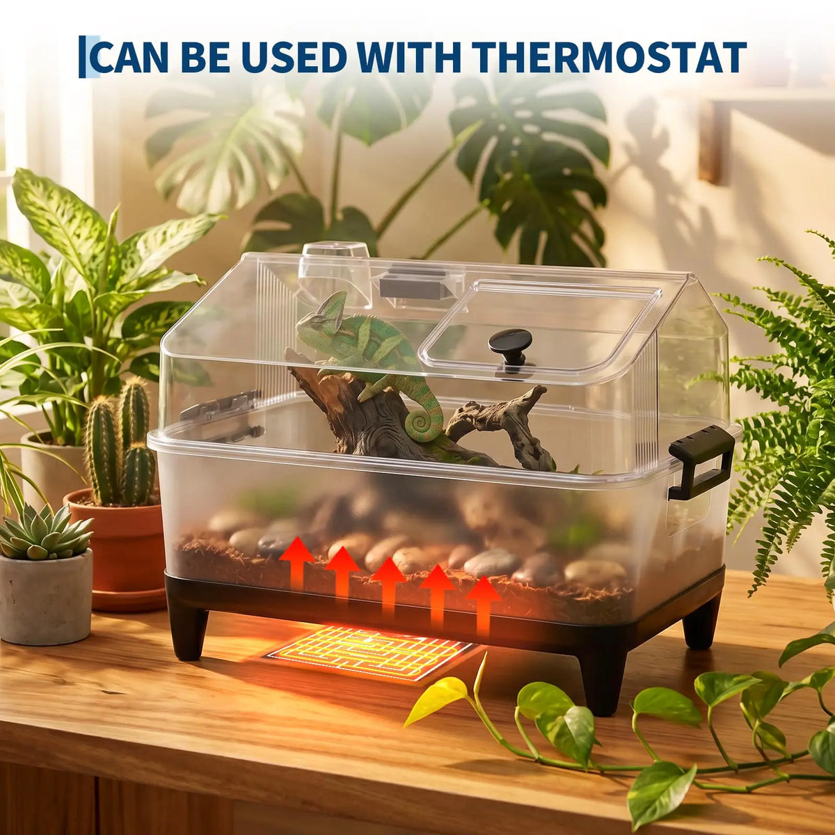 HiMiss Reptile Terrarium Kit With Acrylic Tank And Heating Pad