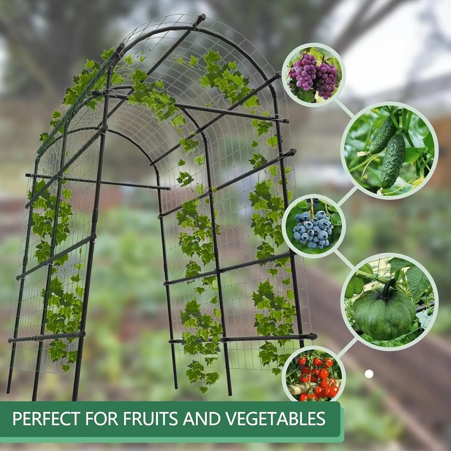 HiMISS Garden Arch Trellis For Climbing Vines And Vegetables
