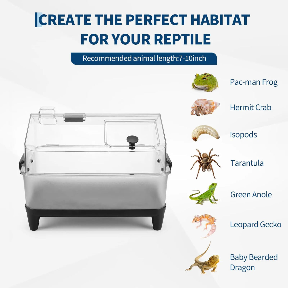HiMiss Reptile Terrarium Kit With Acrylic Tank And Heating Pad