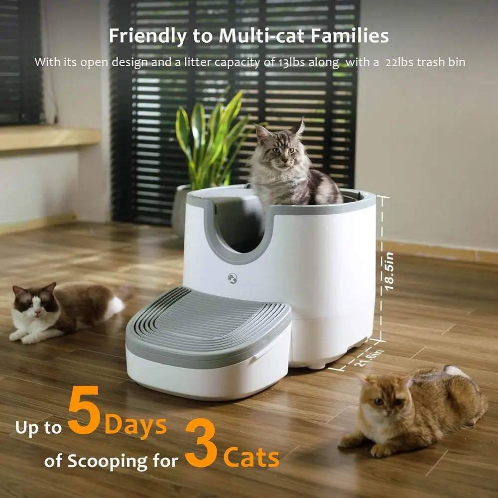 Automatic Self Cleaning Litter Box For Multiple Cats Features Safety