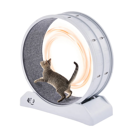 SucceBuy Cat Exercise Wheel With Secure Brake And Quiet Runway