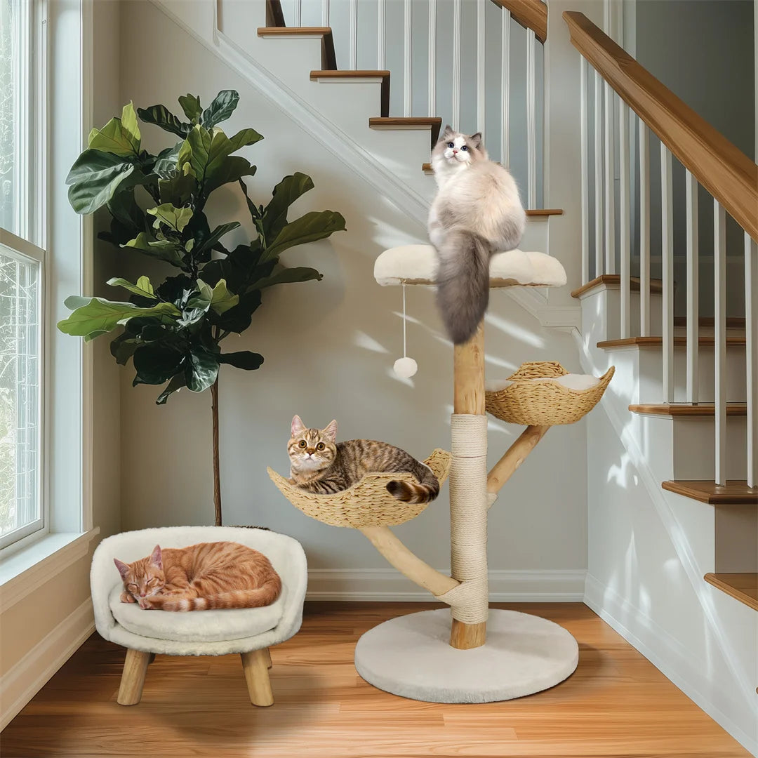 Bingopaw Solid Wood Cat Activity Center Claw Scratching Post Tree
