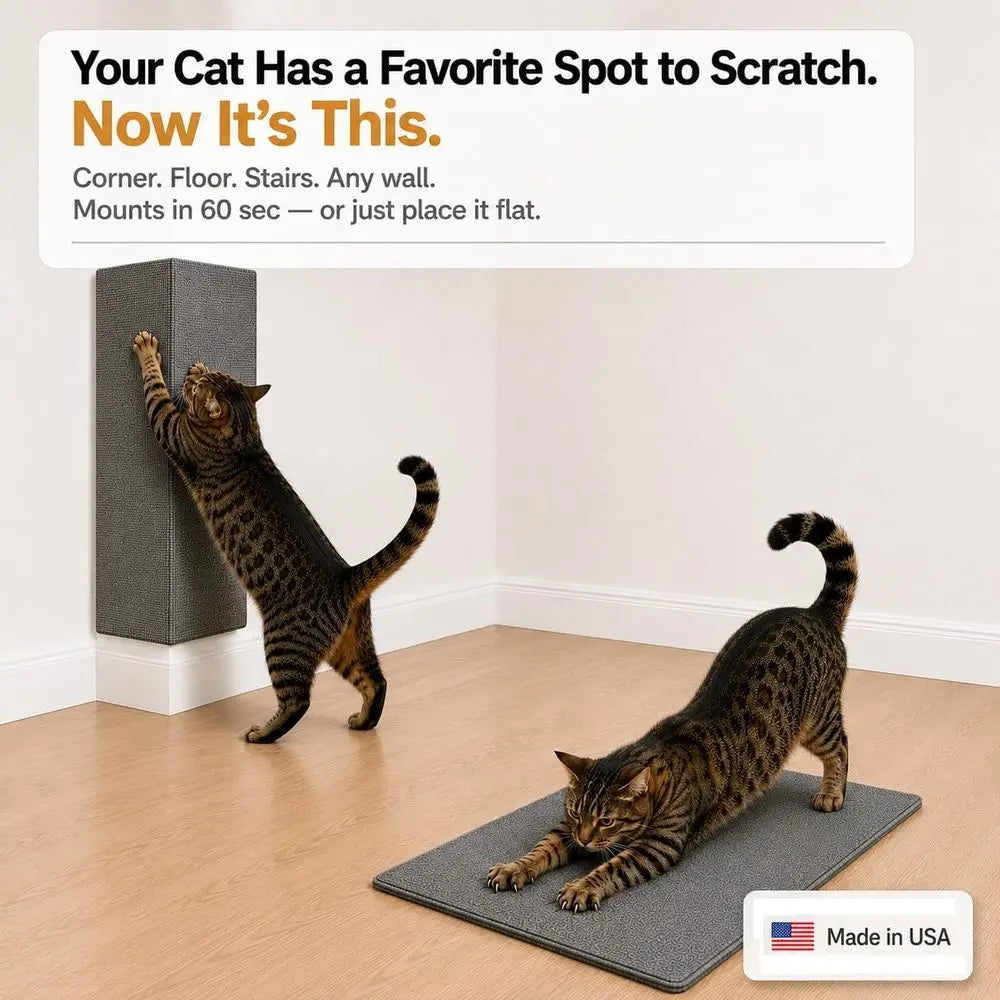 Indoor Scratching Post for Cats – Carpet Scratching Pad – Wall Mounted Cat Mat