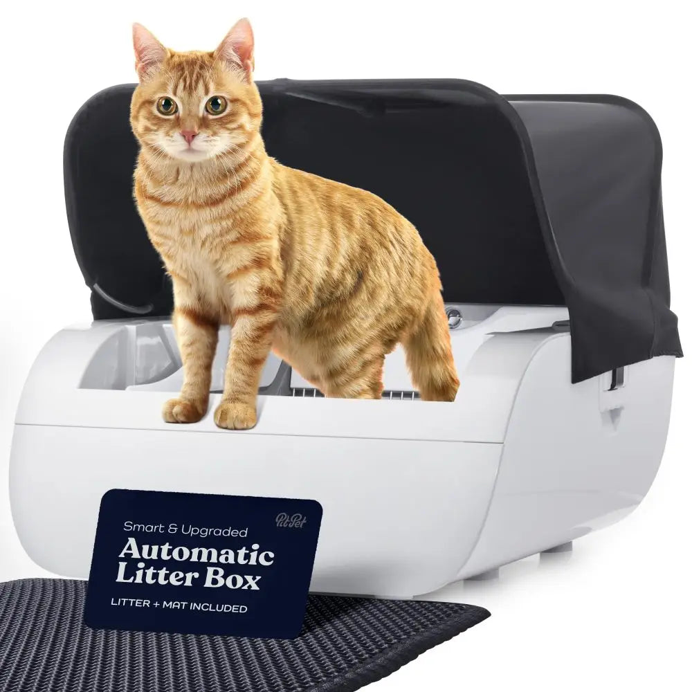 Smart Cat Litter Box with Wide Opening, Cream White ABS Cat Toilet and Indoor Pet Furniture, Modern Cat Litter Container for Home Cat Areas, Wide-Entry Design for Everyday Indoor Cat Litter Setup and Pet Care Spaces, Cream Wh