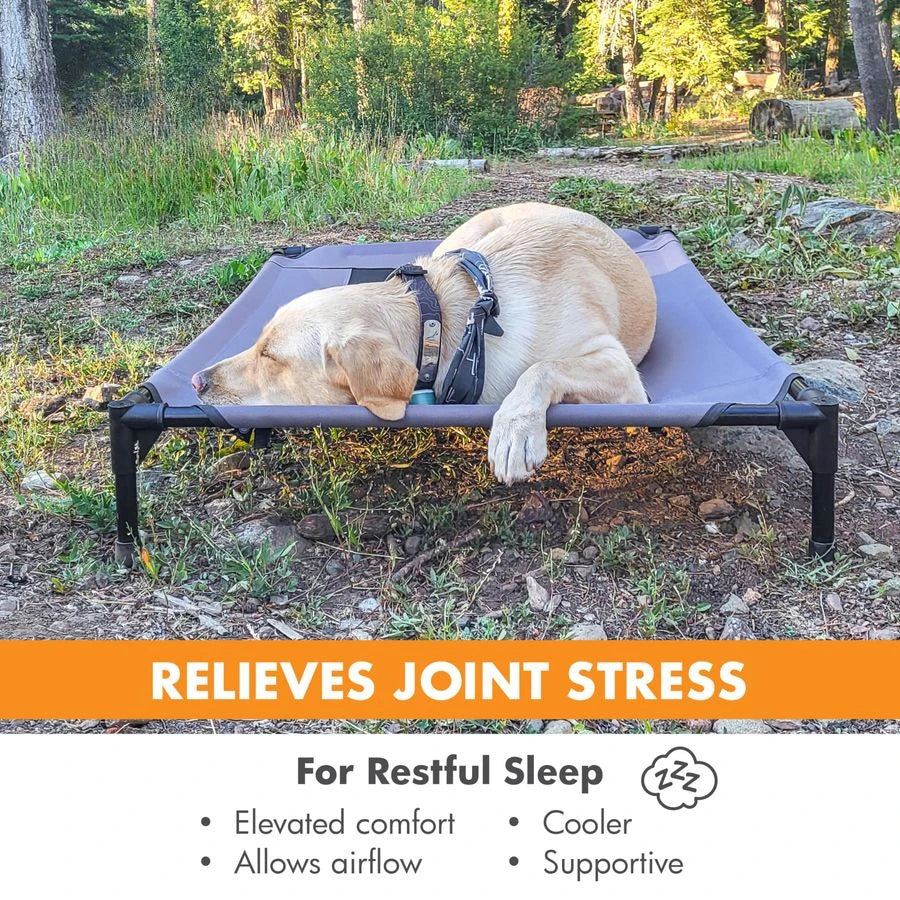 Outdoor Elevated Dog Cot With Breathable Mesh For Large Dogs
