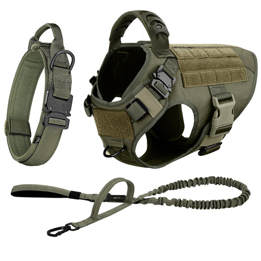 Padded Nylon Dog Harness And Leash Set For Training And Walking