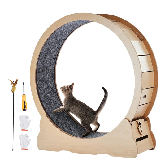 Wooden Cat Exercise Wheel For Indoor Running Detachable Carpet