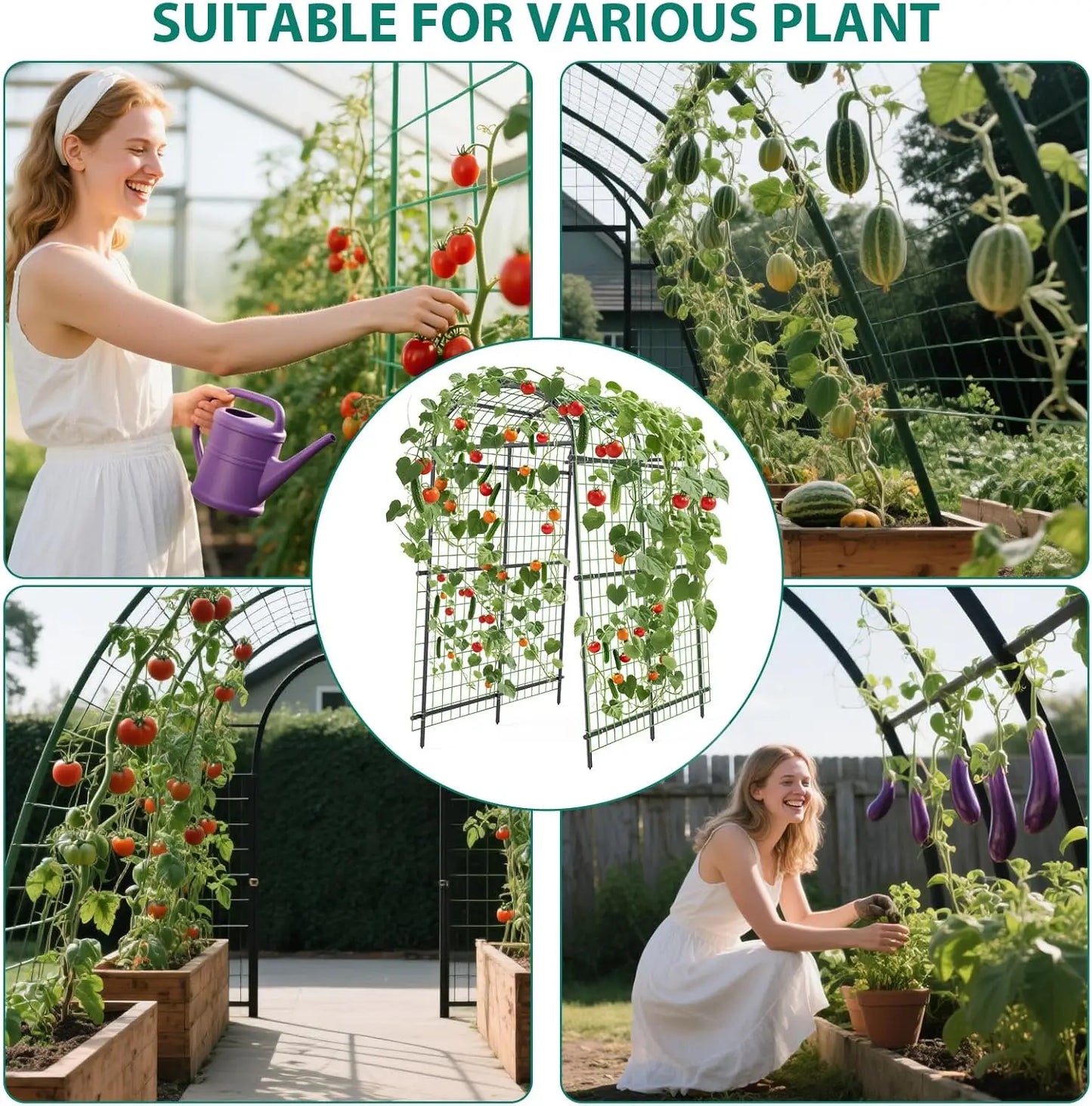 HiMISS Garden Arch Trellis For Climbing Vines And Vegetables